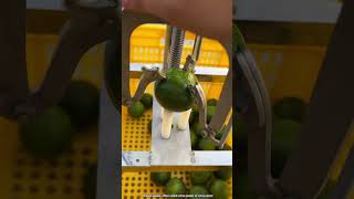 Process of orange peel cutting machine [upl. by Britney831]