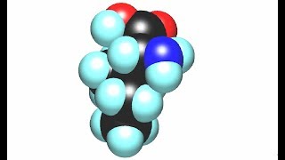 Isoleucine  Energy Blood Sugar Hemoglobin Wound Healing Detox Immunity Hormones [upl. by Alyekahs166]