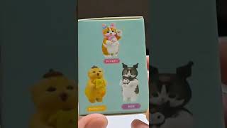 Mofusand X Sanrio Characters‼️blindbox sanriocharacters unboxing mofusand blindboxunboxing [upl. by Aikar]