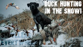 FIRST SNOW HUNT OF THE YEAR LIMIT SPOONIES EVERYWHERE  NEBRASKA PUBLIC LAND DUCK HUNTING [upl. by Adanama]