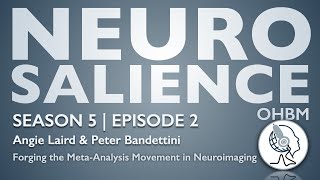 Neurosalience S5E2  Forging the metaanalysis movement in neuroimaging [upl. by Reggy882]