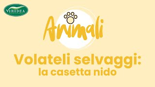 LA CASETTA NIDO PER I VOLATILI SELVATICI [upl. by Dasya]