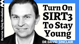 Turn On Mitochondrial SIRT3 To Get Extra Longevity Benefits  Dr David Sinclair Interview Clips [upl. by Eissalc401]