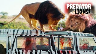 Prey 2007 FilmMovie Explained In Hindi  Urdu  Lion Movie Summarized Hindi [upl. by Eiramit]