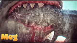 Meg The Trench 2023 Movie Explained in HindiUrdu  Megalodon Killing Summarized हिन्दी [upl. by Ulund]