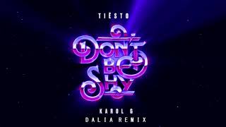 Tiësto amp KAROL G  Don’t Be Shy Dalia Remix [upl. by Neelyahs]