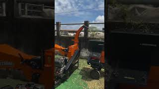 Máquinas Laboremus uma paixão nacional 🧡 roça plantas roceiros agriculturemachine maquinas [upl. by Alta]