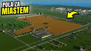 Zwiększamy Produkcję Rolną  Cities Skylines II S251 [upl. by Nylecsoj301]