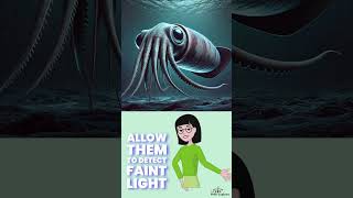 Fact about Giant Squid [upl. by Carolan]