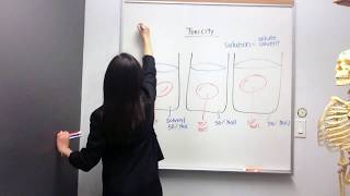 Tonicity Hypertonic Hypotonic and Isotonic Solutions [upl. by Mount]