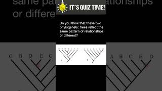 How to compare phylogenetic trees [upl. by Pulling]