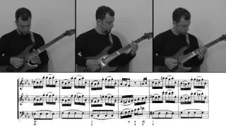 JS Bach  Trio sonata rearranged for 3 guitars from Musikalisches Opfer  Allegro mvmt 2 [upl. by Anaylil]