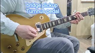 Custom bucker with Gibson pre historic goldtop sample video [upl. by Ajaj]