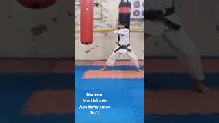 Heian Godan Kata Nadeem Martial arts Academy since 1977 Rawalpindi 03219566605 [upl. by O'Toole921]