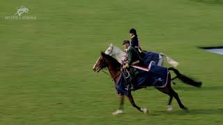 Championnat de France du cheval de chasse 2024 [upl. by Yenterb]