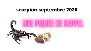 SCORPION SEPTEMBRE 2020 une PIQURE de rappel [upl. by Fidellas671]