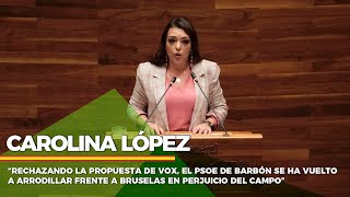 Carolina López “El PSOE de Barbón vuelve a perjudicar al campo” [upl. by Domonic270]