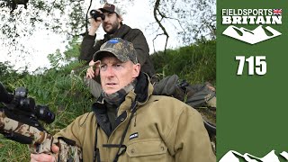 Fieldsports Britain – roe rut hunt from the air [upl. by Mosley]