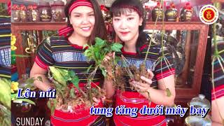 HUYỀN THOẠI SÂM BÍCH DANH  KARAOKE TONE NAM D [upl. by Morly]