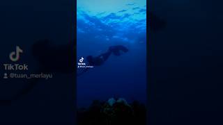 Real Merman Swimming at Redang Island mermaid art trending viral viralvideo [upl. by Luciano]