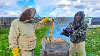 How to Harvest Honey  Beekeeping with Elin Gabsel [upl. by Ameerahs]