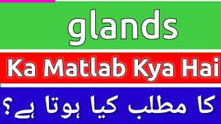 Glands Meaning In Urdu  Glands Meaning  Glands Ka Matlab Kya Hota Hai  Glands Ka Matlab Kya hai [upl. by Windzer]