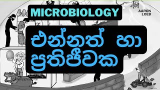 Microbiology  එන්නත් හා ප්‍රතිජීවක Vaccines and antibiotics [upl. by Etteniotnna]