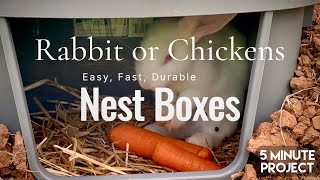 BEST EASY NEST BOX for Chickens and Rabbits 5 Minute Project [upl. by Irtimed946]