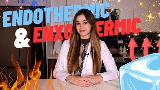 Endothermic and Exothermic Reactions  CHEM WITH WREN  Science Experiment [upl. by Evangelia975]