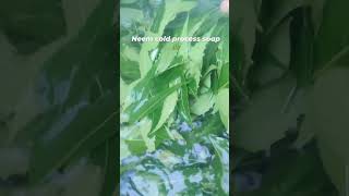 Neem cold process soap whatsapp 9597596268neem soap viralshort youtubeshorts natural herbal [upl. by Elyl13]