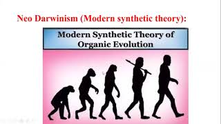 NeoDarwinism II Modern Synthetic Theory [upl. by Harman523]