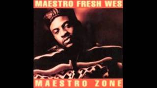 Maestro Fresh Wes  Another Funky Break From My Paps Crate [upl. by Anglo308]