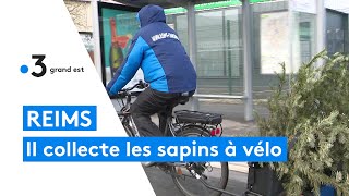 Reims  ce coursier ramasse les sapins de Noël à vélo [upl. by Schinica]