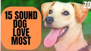 15 Sounds Dogs Love To Hear The Most  Sound Effects HD [upl. by Duky]