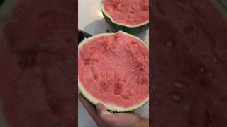 তরমুজ 🍉 watermelon satisfying short shorts shortfeed fruit [upl. by Allenaj]