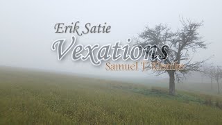 Erik Satie Vexations  on electric guitar  arranged by Samuel T Klemke [upl. by Yesak382]