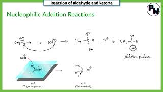 Nucleophilic addition reaction mechanism class 12 [upl. by Ydnar]