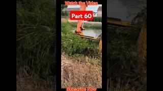 মাছ ধরার নতুন টেকনিক Part 60 Fish viral video shortvideo short Roadplanet Rcrcrc theRealRC [upl. by Adonis]