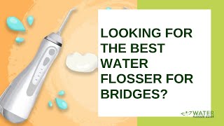 Looking For The Best Water Flosser for Bridges [upl. by Alban432]