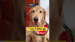 🐕Tobo ने खरीदा चूहा  mini wood toy  woodworking art skill  hand crafts shorts pets [upl. by Anyala]