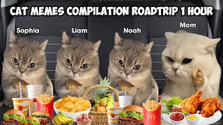 Cat Memes Compilation Roadtrip 1 Hour [upl. by Atinyl932]