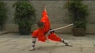 Shaolin Kung Fu weapon breezing sword [upl. by Mullane275]