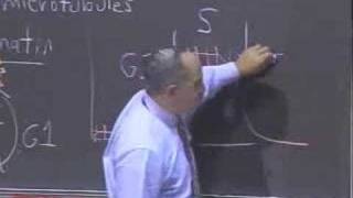 Lec 19  MIT 7012 Introduction to Biology Fall 2004 [upl. by Aztiram977]