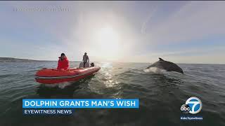 Friendly dolphins delight boaters with breathtaking moment off Dana Point in California [upl. by Sean]