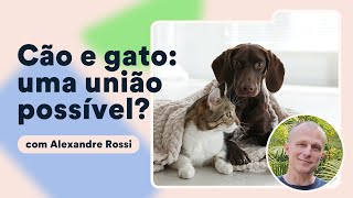 Como socializar gatos com cães Alexandre Rossi explica  Petz TV Comportamento [upl. by Demetra786]