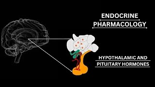 ENDOCRINE PHARMACOLOGY Adrenocorticotropic Hormone ACTH pharmacology katzung lippincott [upl. by Olympium33]