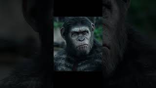 DAWN OF THE PLANET OF THE APES broke me [upl. by Ansilme]