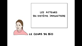 Les acteurs du système immunitaire présentation générale [upl. by Siladnerb]