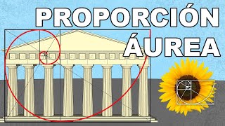 ¿Qué es la Proporción ÁUREA [upl. by Enajyram]