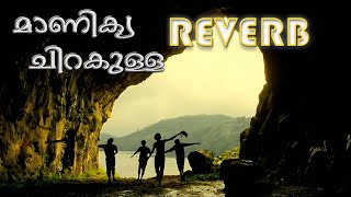 Manikya chirakulla manathu kuriyulla song  slowed  reverb [upl. by Early733]